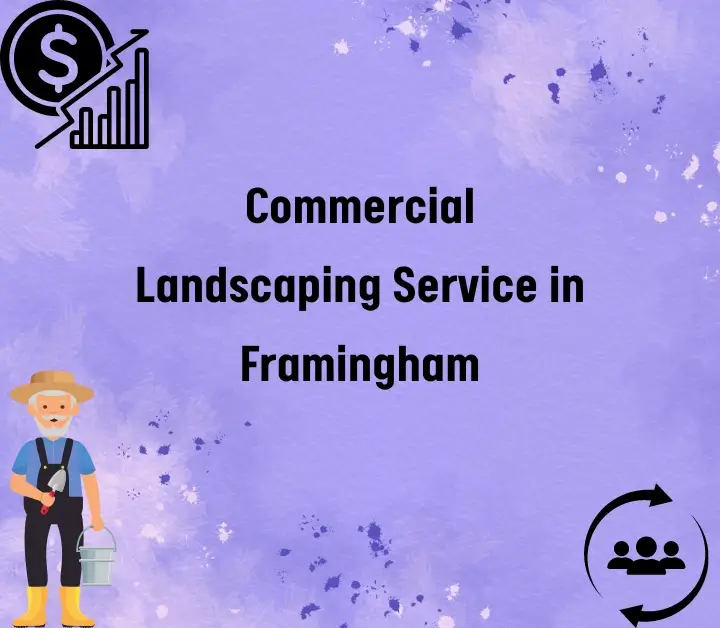 Landscaping Service in Framingham
