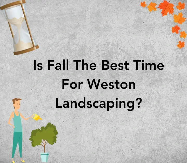 The Best Time For Weston Landscaping