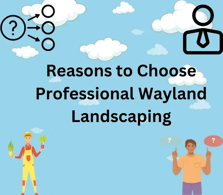 Reasons to Choose Professional Wayland Landscaping