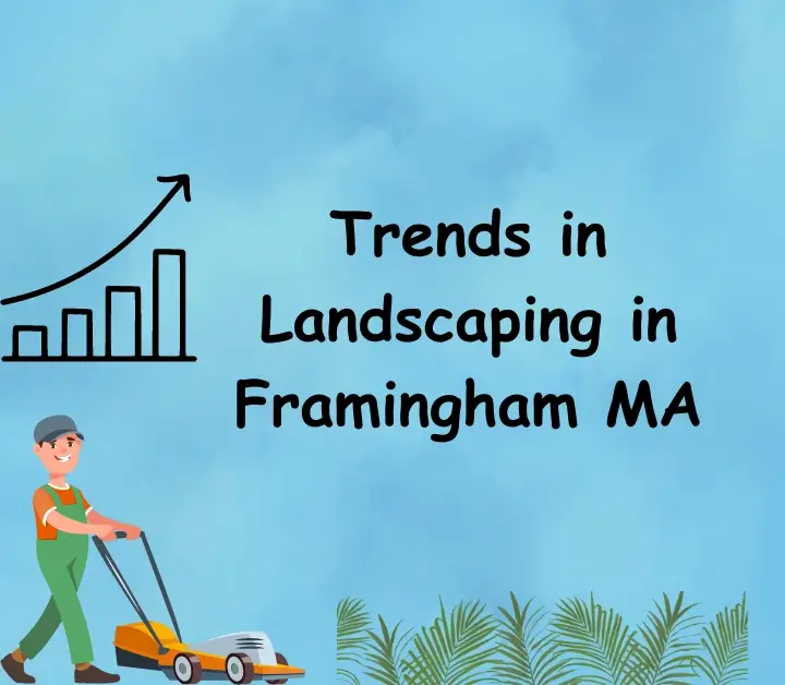 Trends in Landscaping in Framingham
