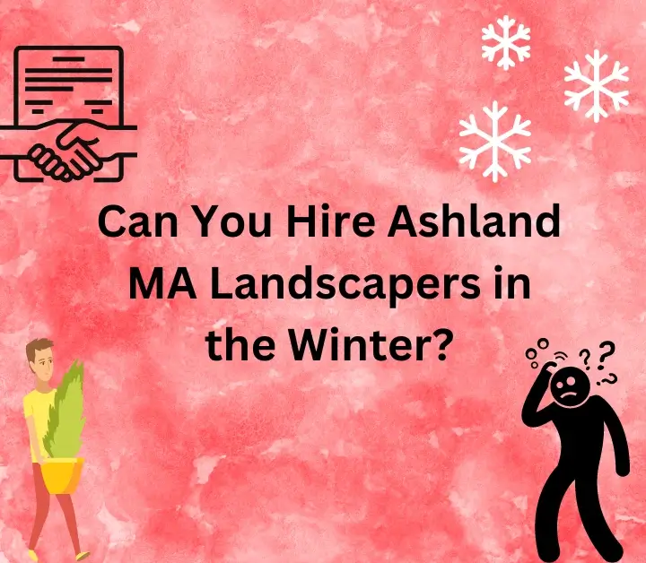 Hire Ashland MA Landscapers in the Winter