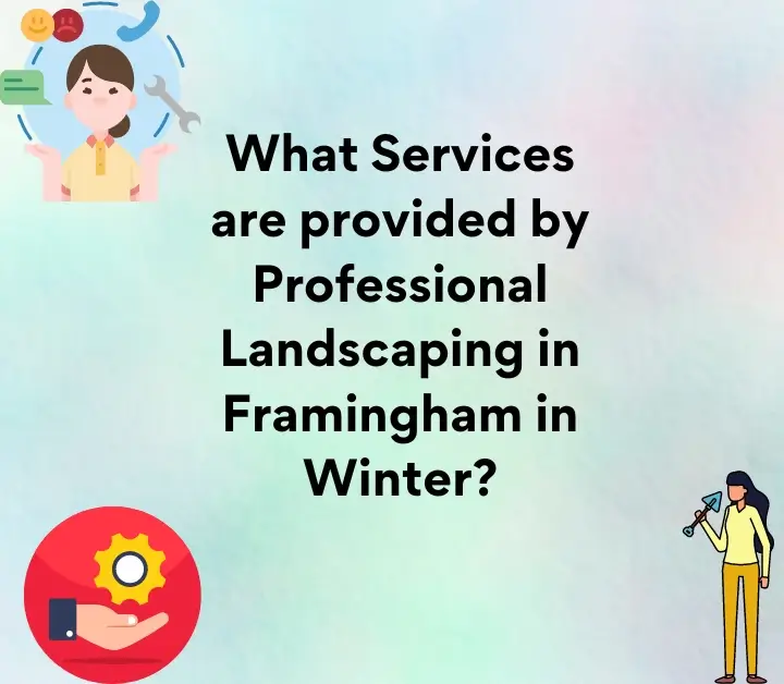 What Services are provided by Professional Landscaping in Framingham