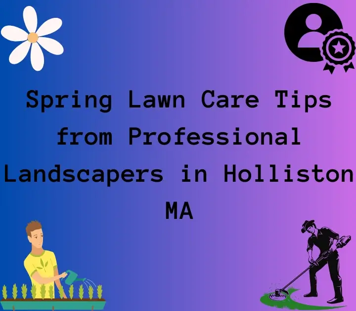 Lawn Care Tips from Professional Landscapers in Holliston MA