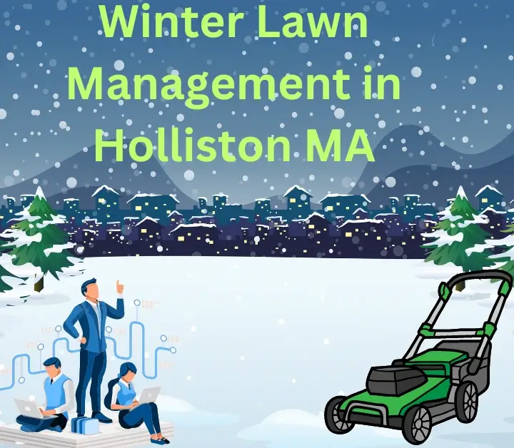 Lawn Management in Holliston MA