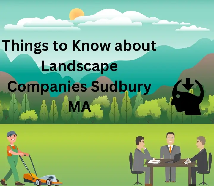 Things to Know about Landscape Companies Sudbury MA