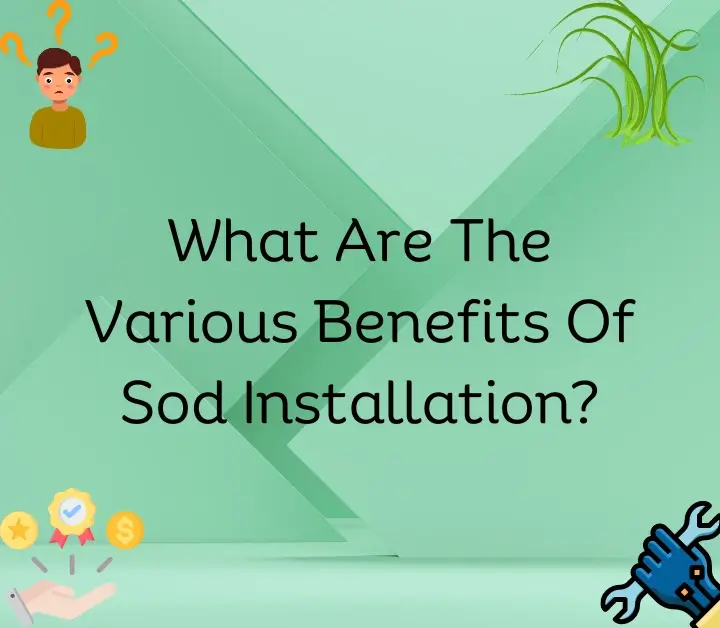 What Are The Various Benefits Of Sod Installation