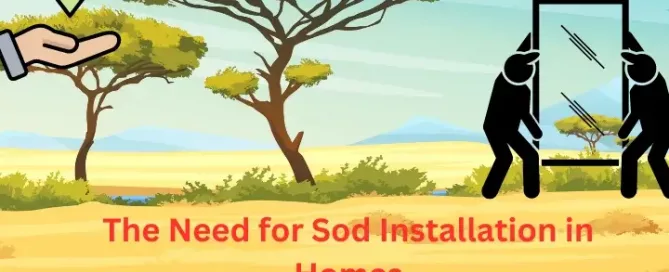 Need for Sod Installation in Homes