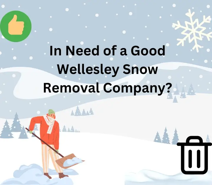 Need of a Good Wellesley Snow Removal Company