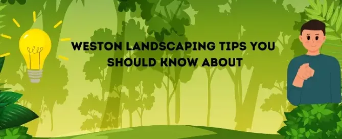 Landscaping Tips You Should Know About