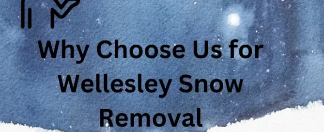 Why Choose Us for Wellesley Snow Removal