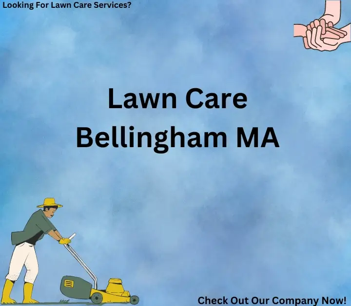 Lawn Care Bellingham MA