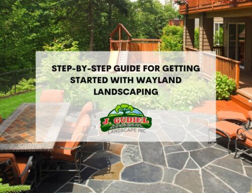 Step-By-Step Guide for Getting Started With Wayland Landscaping
