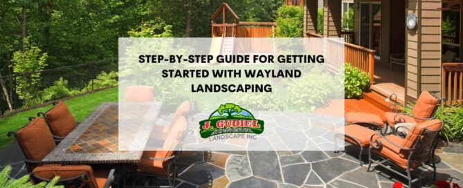Getting Started with Wayland Scaping