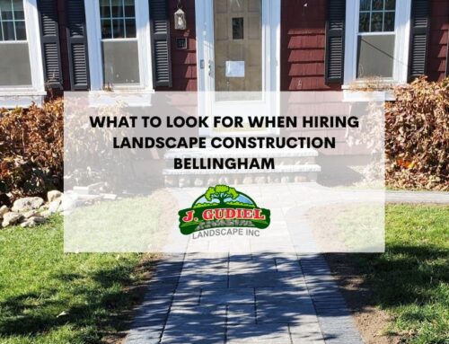 What to Look For When Hiring Landscape Construction Bellingham