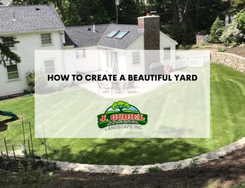 How to Create a Beautiful Yard