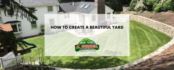 How to create a Beautiful Yard