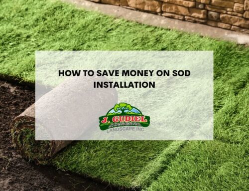 How to Save Money on Sod Installation