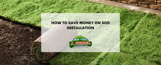 How to save money on sod installation