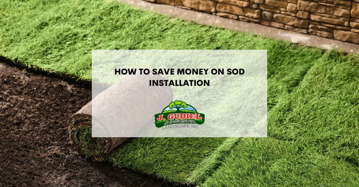 How to save money on sod installation