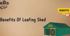 Benefits Of Loafing Shed