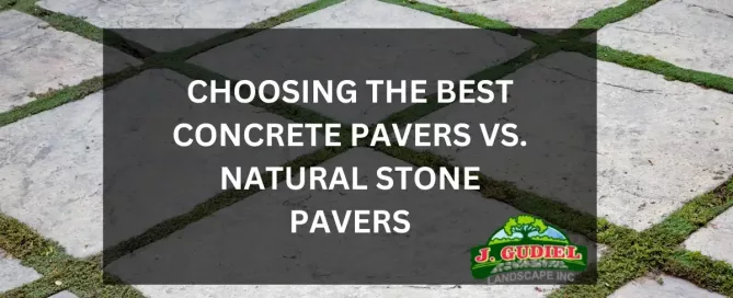 Choosing the Best: Concrete Pavers vs. Natural Stone Pavers
