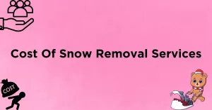 Cost Of Snow Removal Services