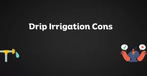 Drip Irrigation Cons