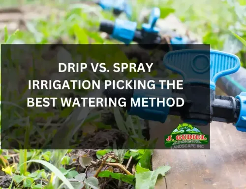 Drip vs Spray Irrigation: Picking the Best Watering Method