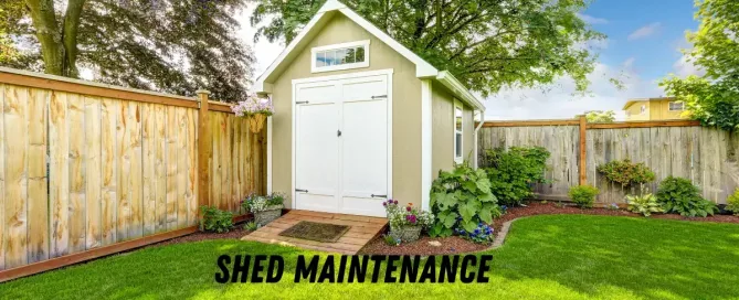 Shed Maintenance Your Essential Guide