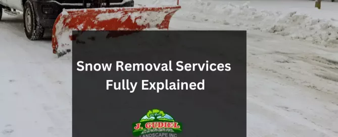Snow Removal Services: Fully Explained