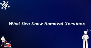 What Are Snow Removal Services
