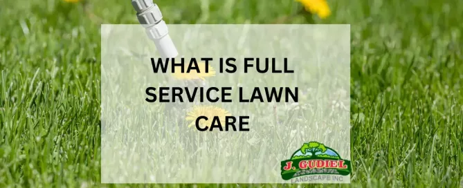 What is Full Service Lawn Care: A Complete Guide
