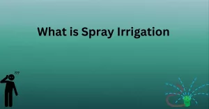 What is Spray Irrigation