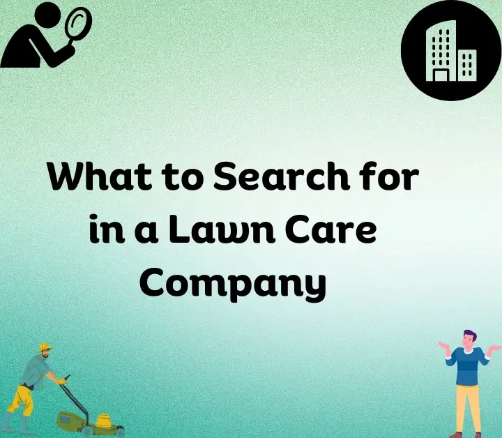 What to Search for in a Lawn Care Company 
