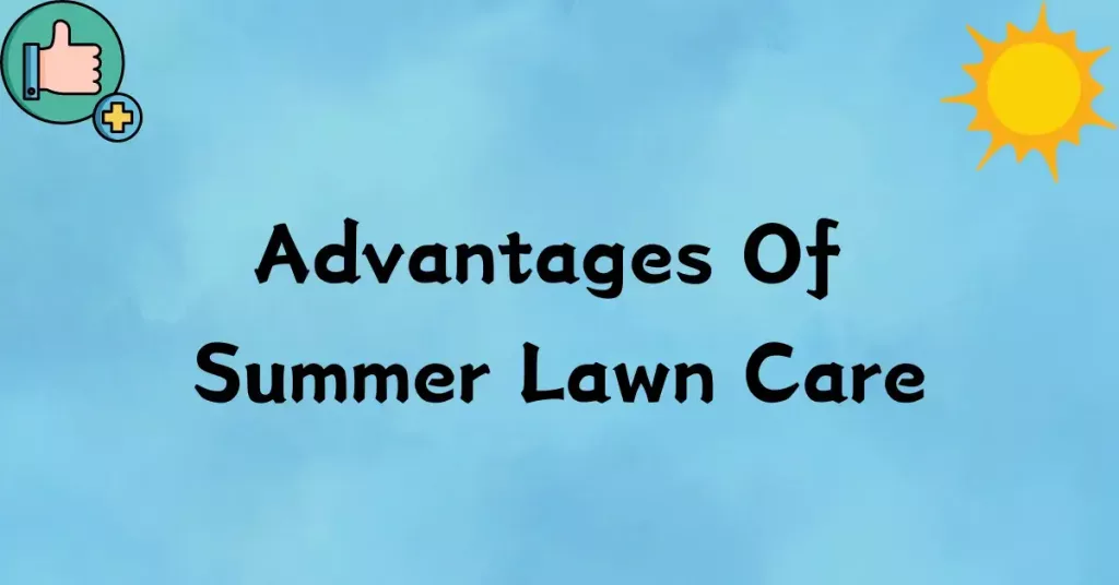 Advantages Of Summer Lawn Care