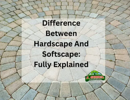 Difference Between Hardscape And Softscape: Fully Explained