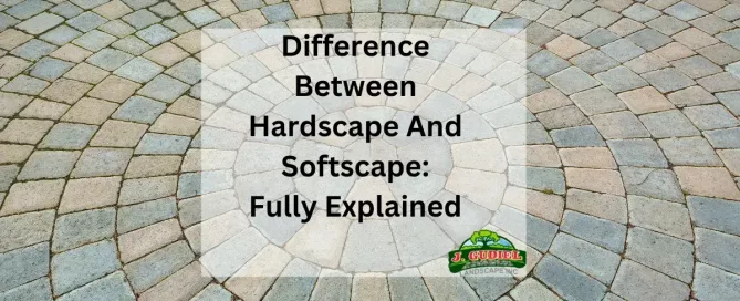 Difference Between Hardscape And Softscape_ Fully Explained