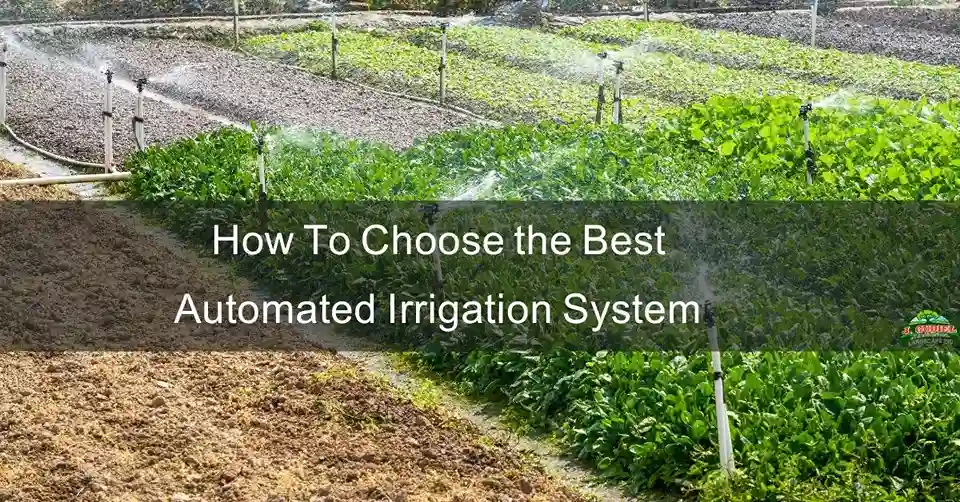 How To Choose the Best Automated Irrigation System