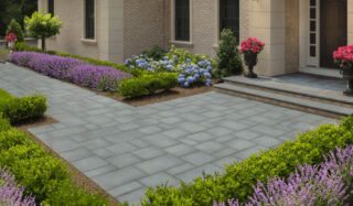 11 relxe6sxxet6ddsmfvuo7pkc61tmnhzr9woejtbr6g