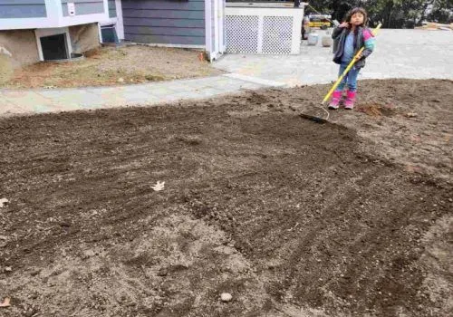 20230318_110153_Original-768x1024-1-relxe5uv7laudteuv8rgpjbdnr1ka4b4uf5542uzsc