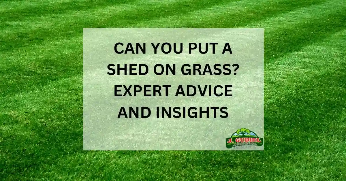 Can You Put a Shed on Grass Expert Advice and Insights 11zon