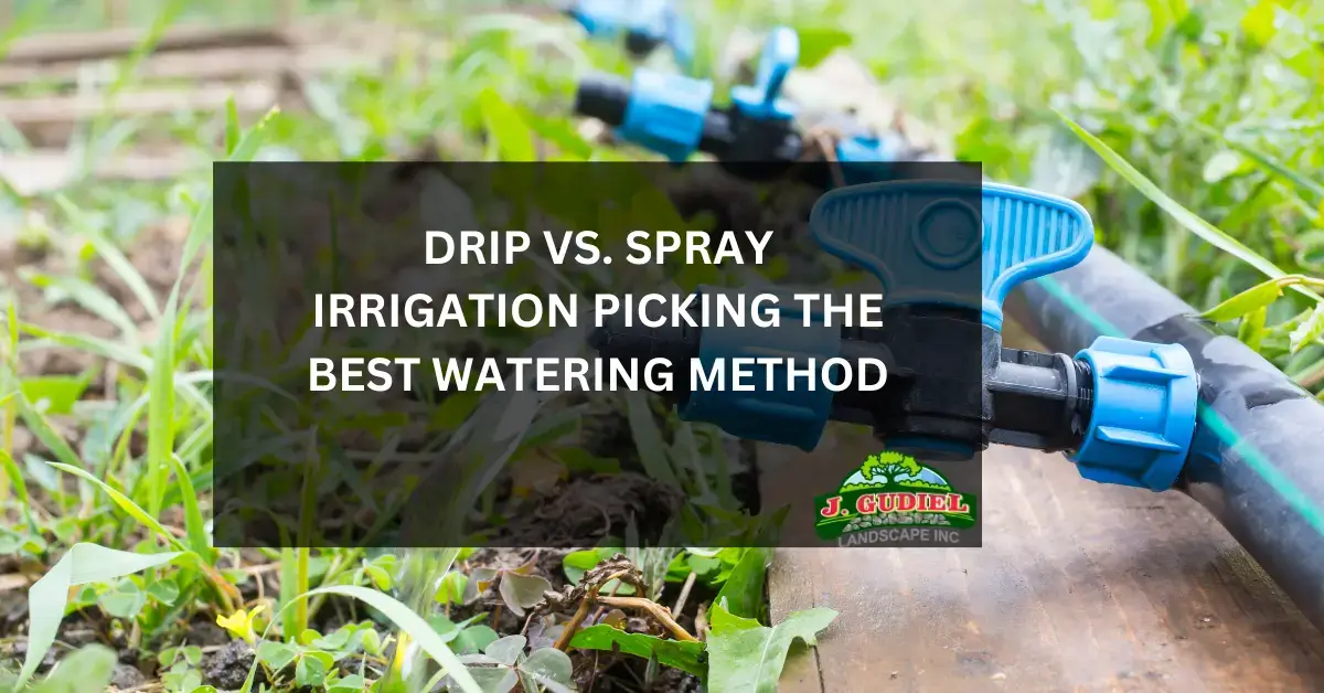 Drip vs Spray Irrigation Picking the Best Watering Method
