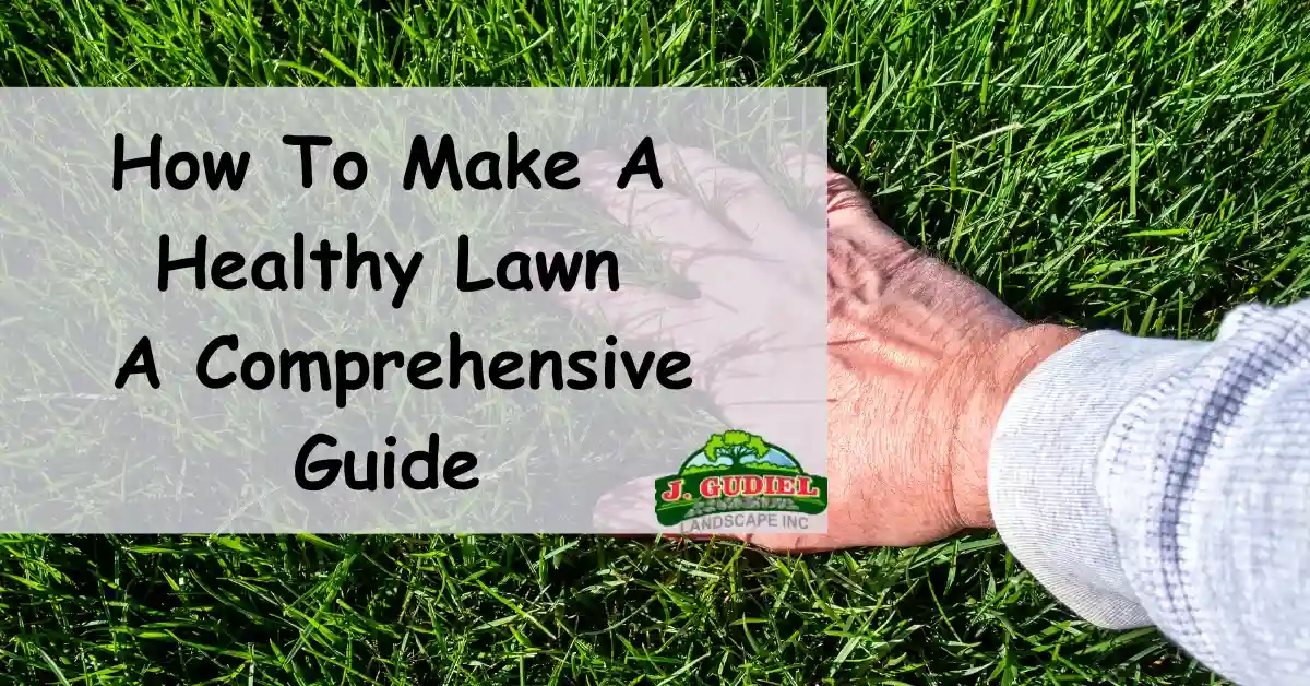 How To Make A Healthy Lawn A Comprehensive Guide 11zon 1
