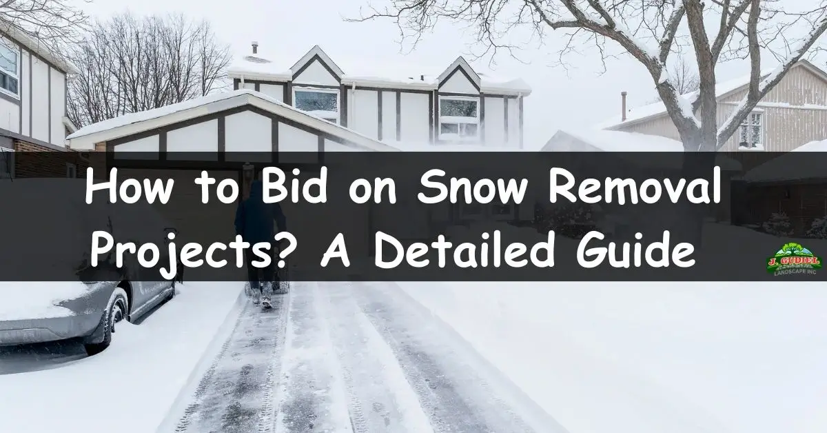How to Bid on Snow Removal Projects A Detailed Guide