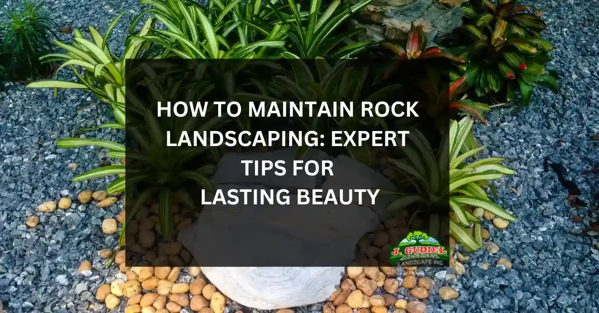 How to Maintain Rock Landscaping Expert Tips for Lasting Beauty 11zon