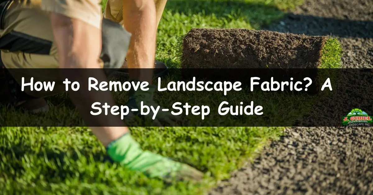 How to Remove Landscape Fabric A Step by Step Guide