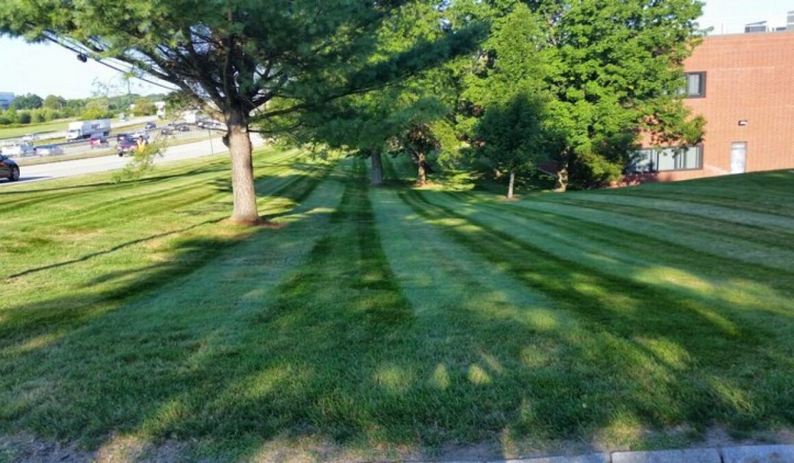 JGUDIEL-HARDSCAPE_3-1-relxe5v3qkrw1rtzldg1n7svkny9fsw0xs0x2jd5co