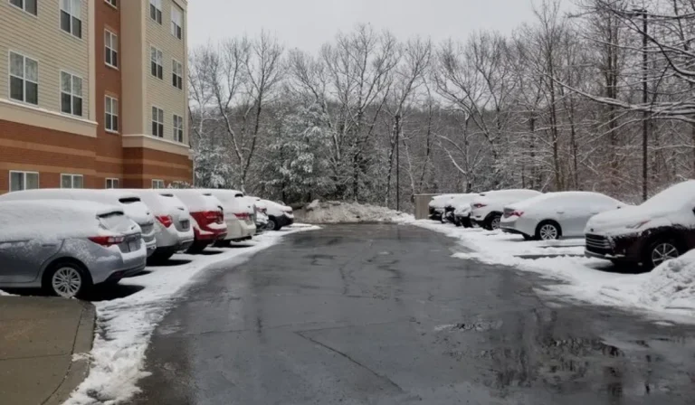 JGUDIEL SNOW MANAGEMENT 6 1 relxe6sxxet6ddsmfvuo7pkc61tmnhzr9woejtbr6g