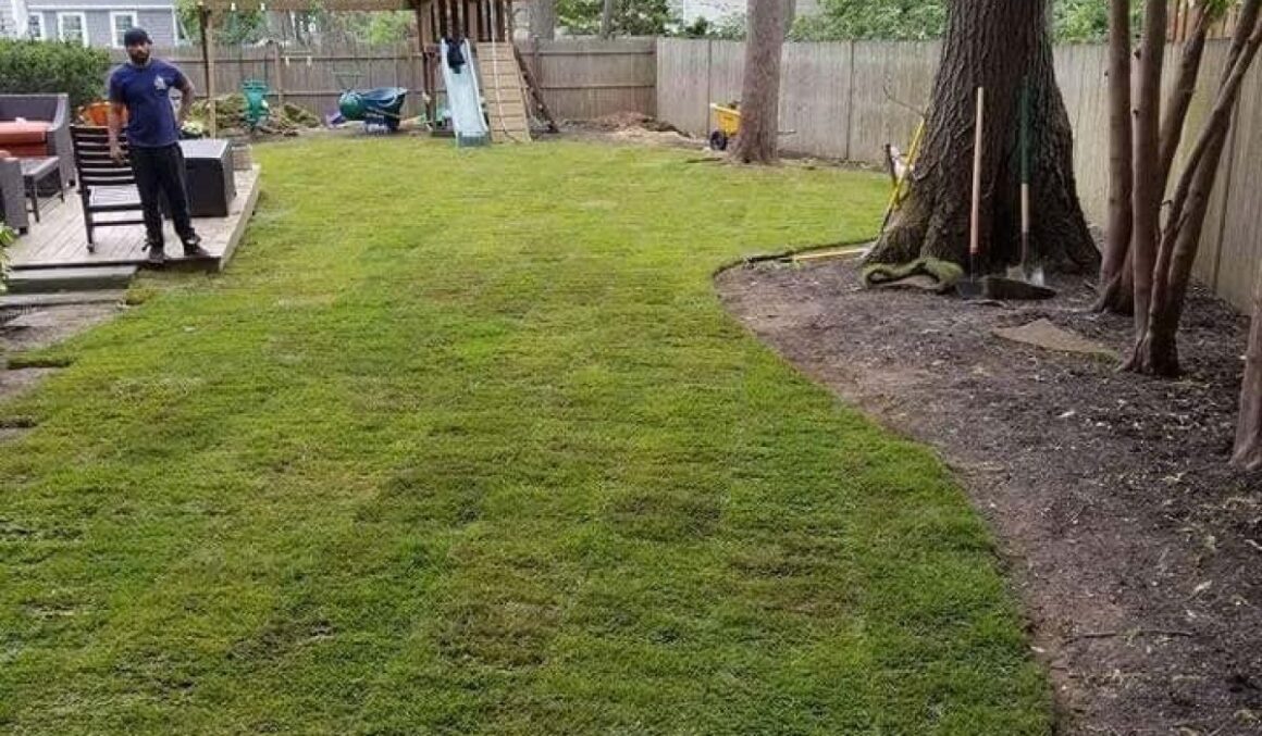 LANDSCAPE-JGUDIEL-14-relxe6sxxet6ddsmfvuo7pkc61tmnhzr9woejtbr6g