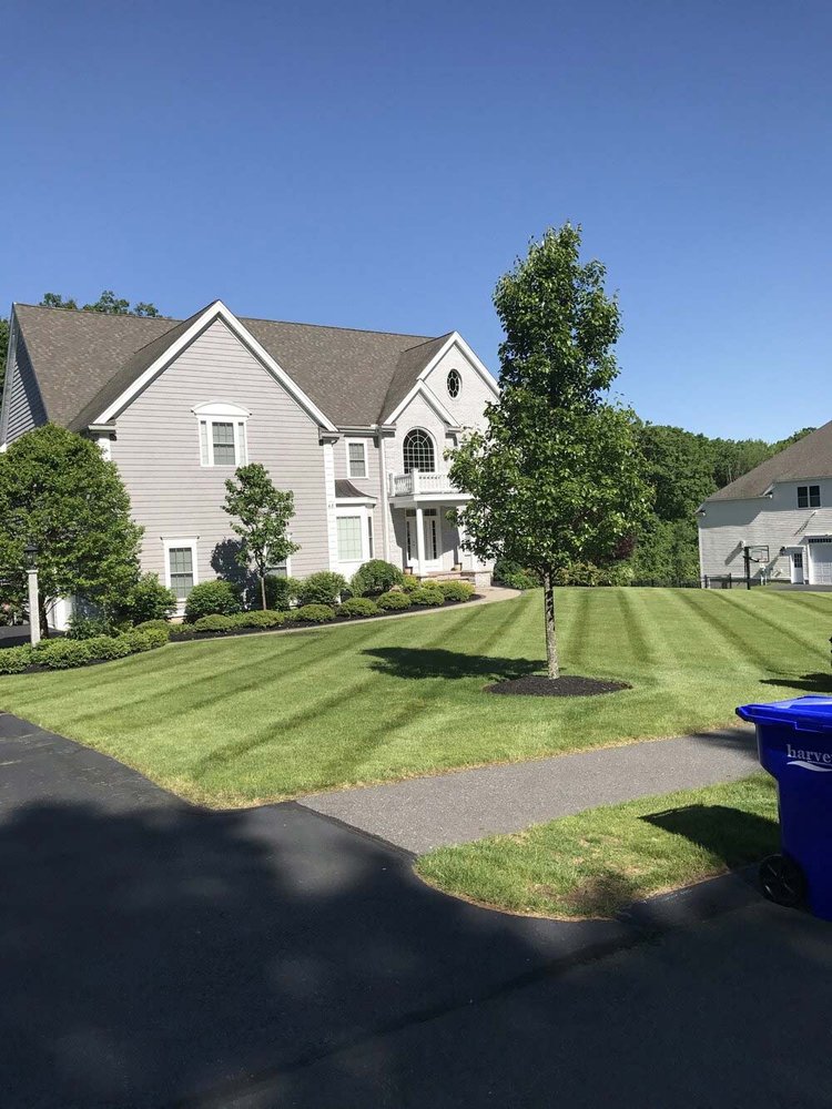 LANDSCAPE JGUDIEL 16 1